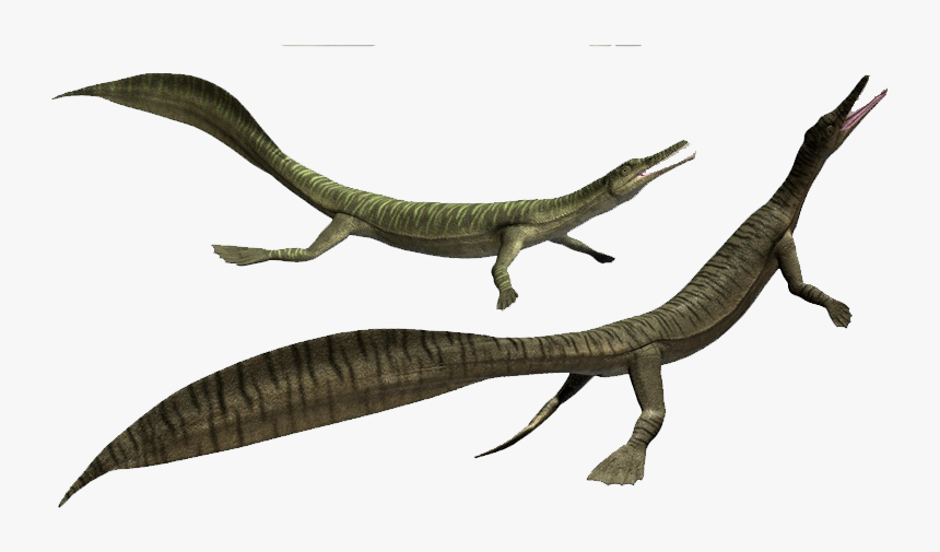 Marine Reptile Png , Transparent Cartoons - Mesosaurus 3d Model, Png Download, Free Download