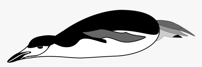 Penguin Swim Png, Transparent Png, Free Download