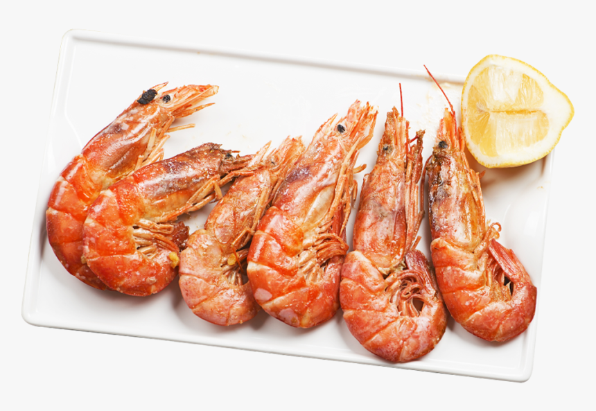 Transparent Seafood Png - Group Of Shrimp Png, Png Download, Free Download