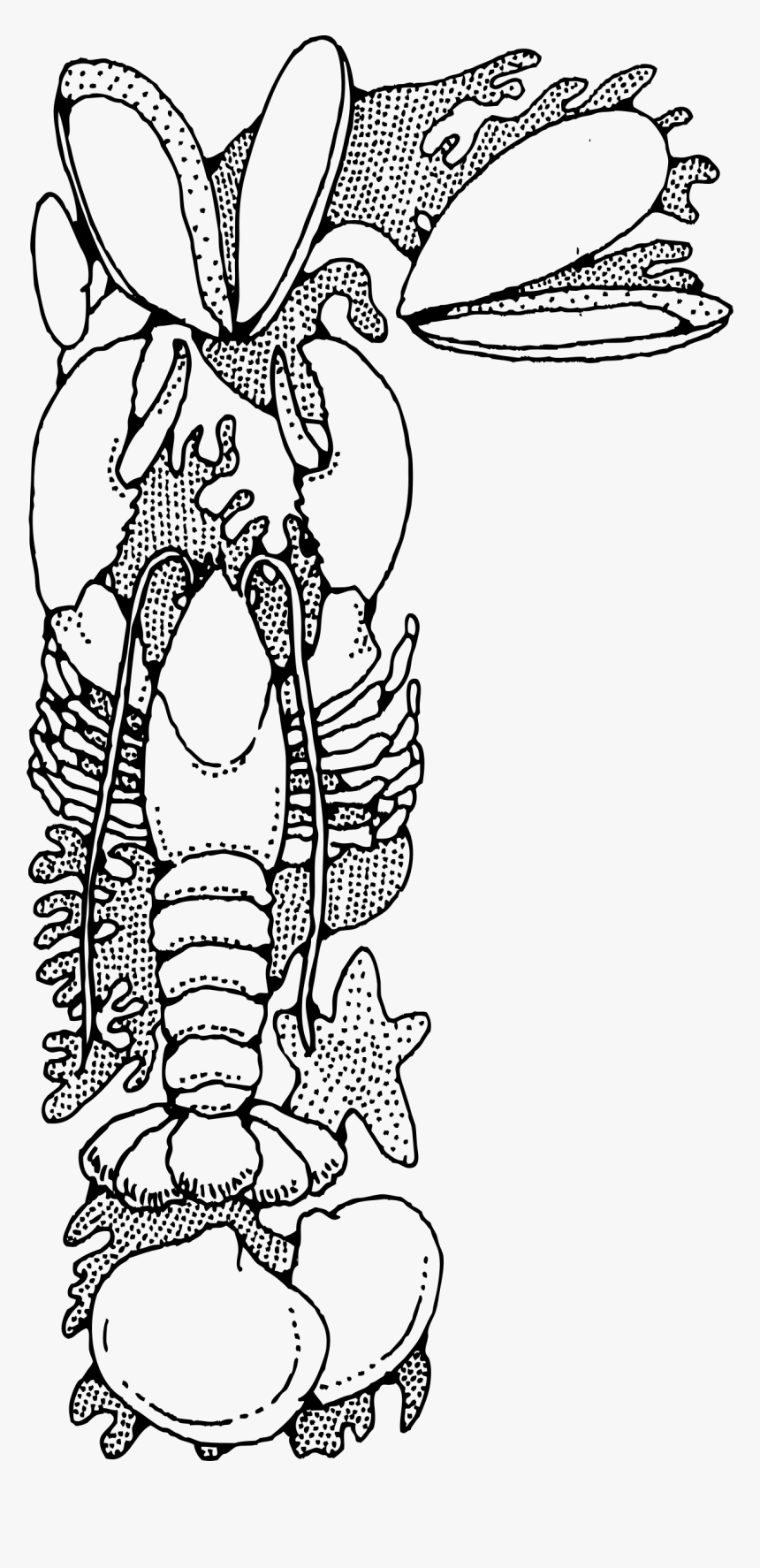 Seafood Clip Arts - Seafood Clip Art, HD Png Download, Free Download
