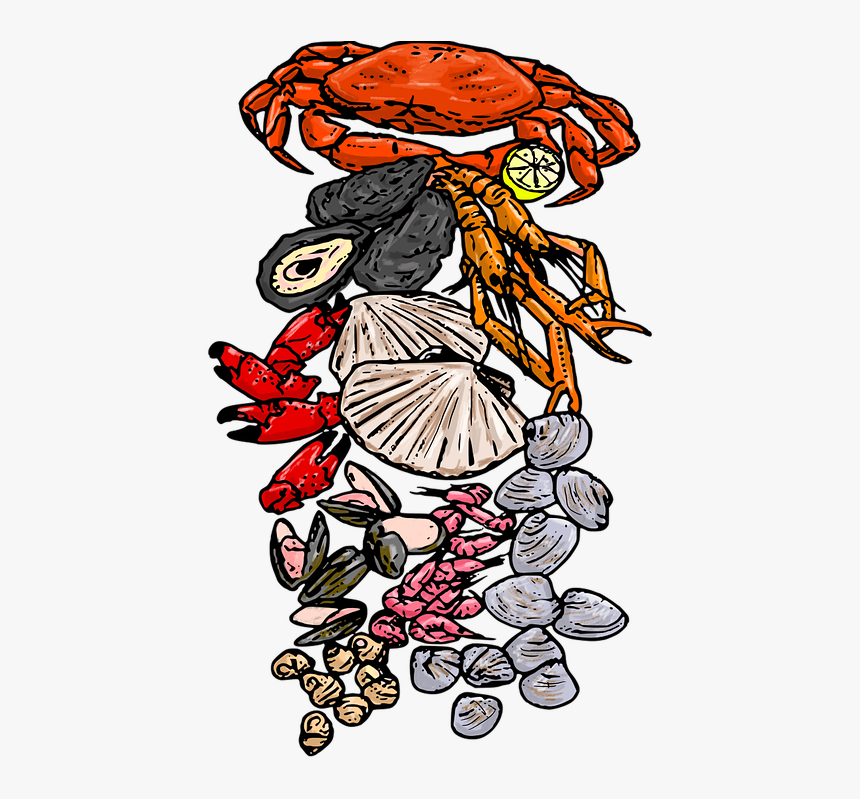 Shellfish, Gourmet, Seafood, Food, Restaurant, Sea, HD Png Download, Free Download