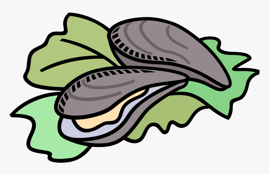 Vector Illustration Of Marine Bivalve Mollusk Shellfish - Oyster Clipart Png, Transparent Png, Free Download