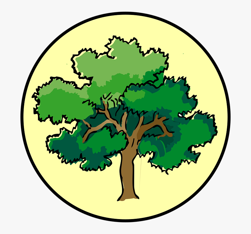 Tree Oak Circle Nature Plant Symbol Timber Bark - Narra Tree Clipart, HD Png Download, Free Download