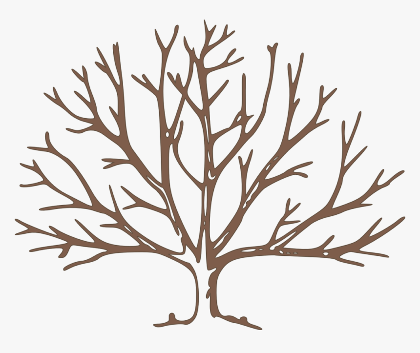 Transparent Class Reunion Clipart - Bare Tree Clipart, HD Png Download, Free Download