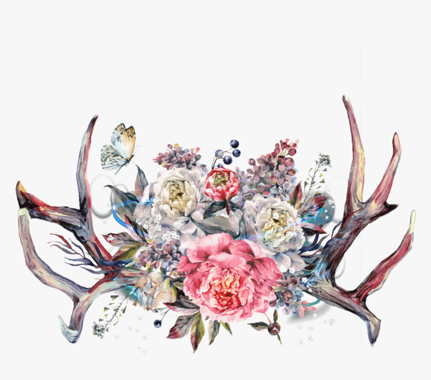 Transparent Antlers Png - Antlers With Flowers Boho, Png Download, Free Download