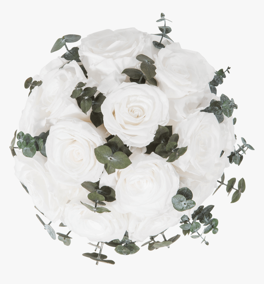 White Eukalyptus - Garden Roses, HD Png Download, Free Download
