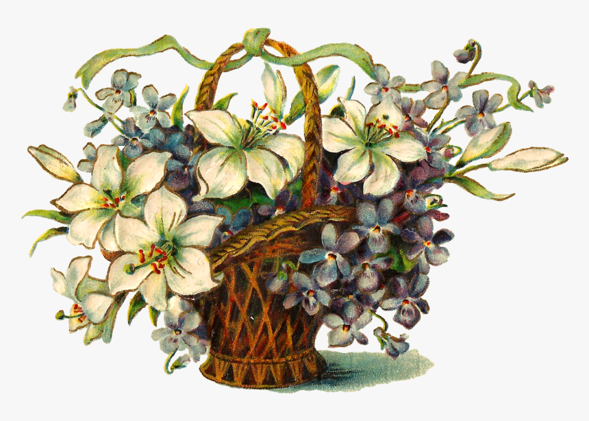 Flower Image Botanical Art Download - Flower, HD Png Download, Free Download