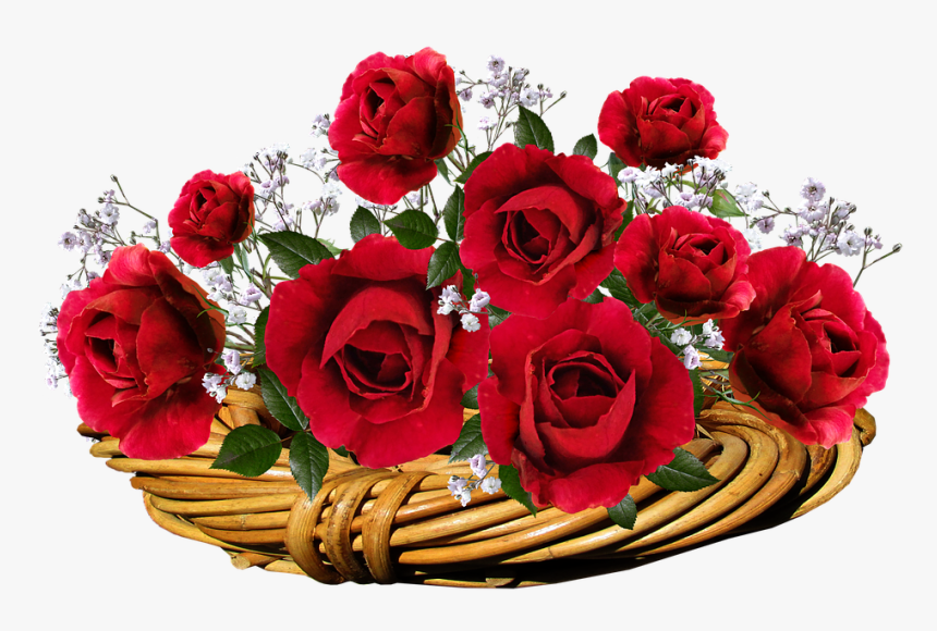 Roses, Red, Flowers, Romantic, Valentine, Basket - Красивые Открытки С Днём Рождения, HD Png Download, Free Download