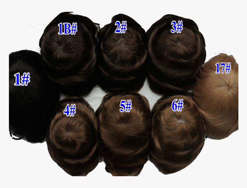 Revive Male Hair Restoration System - Bun, HD Png Download, Free Download