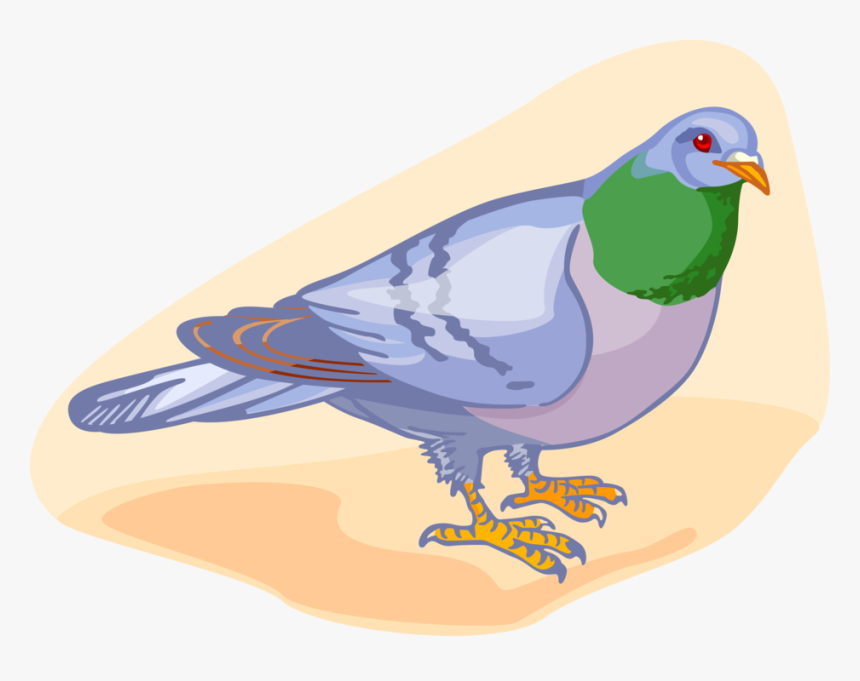 Transparent Birds Vector Png - Partridge, Png Download, Free Download
