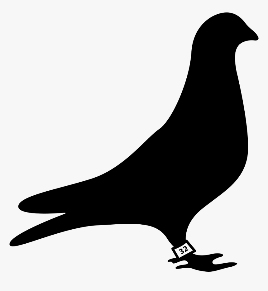 Dove Races - Racing Pigeon Silhouette, HD Png Download, Free Download