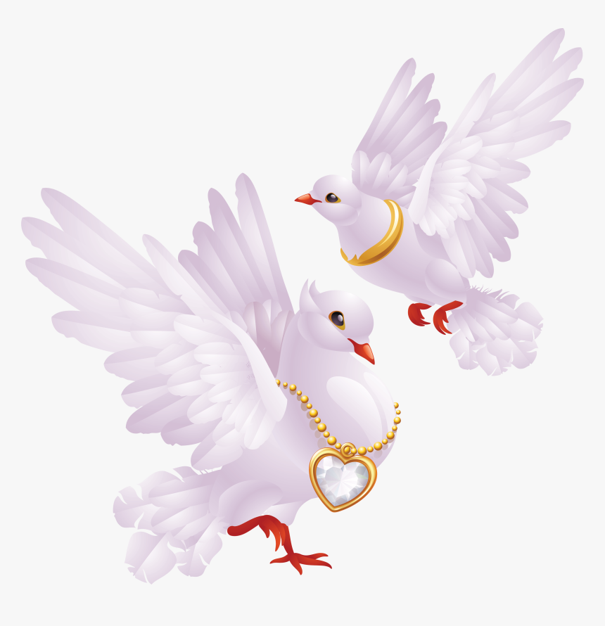 Transparent Wedding Dove Png, Png Download, Free Download