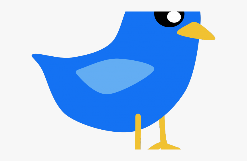 Cartoon Blue Bird Drawing, HD Png Download, Free Download