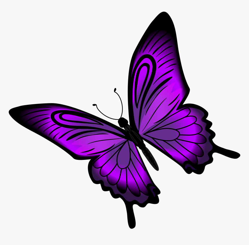 Drawing Spring Purple Butterfly, HD Png Download, Free Download