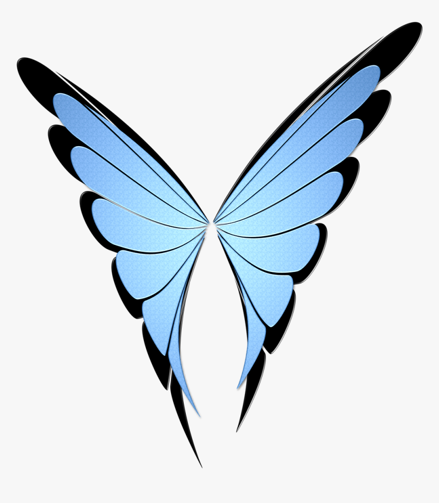 Butterfly, Insect, Blue, Black, Animal, Fly, Wing - Gambar Sayap Kupu Kupu, HD Png Download, Free Download