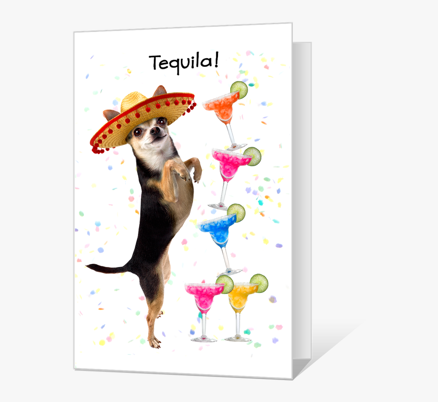 Tequila Birthday Printable Birthday Card Dog Hd Png Download Kindpng