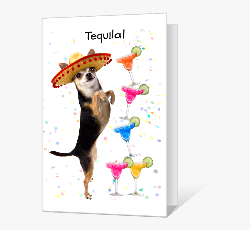 Tequila Birthday - Printable Birthday Card Dog, HD Png Download, Free Download