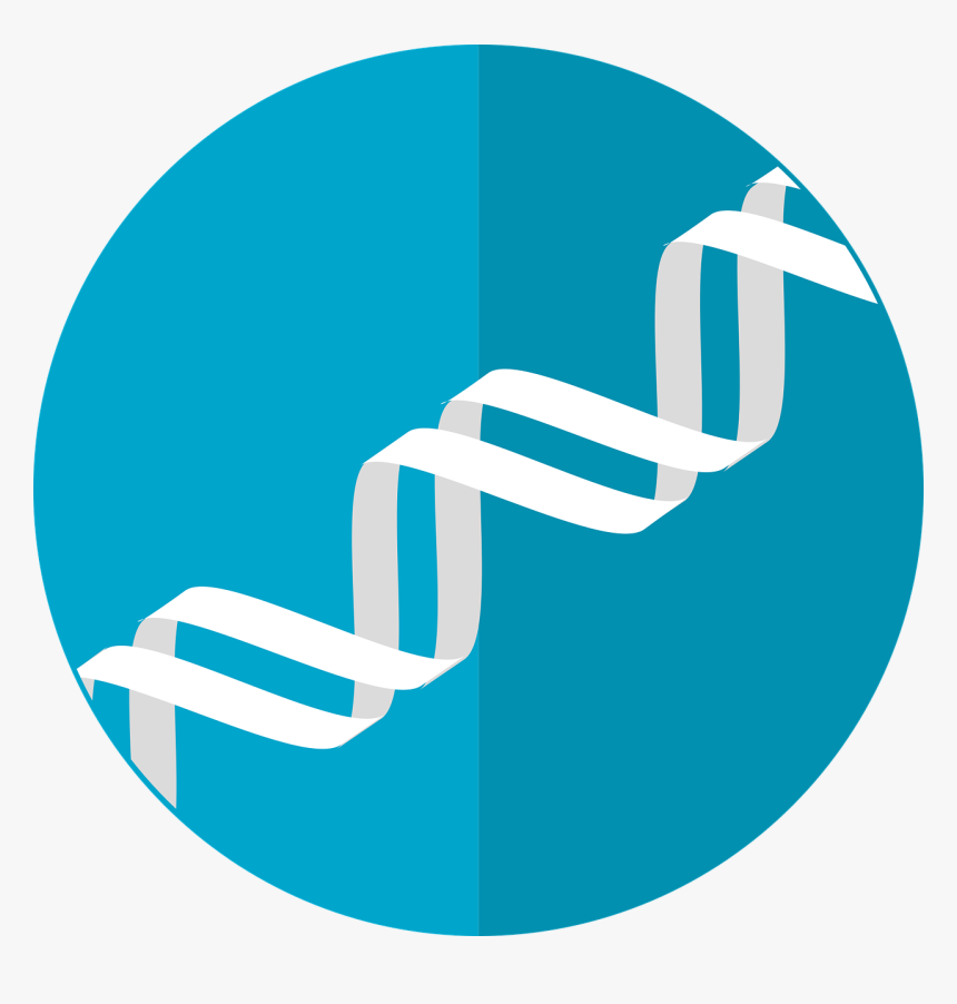 Genetics-computer - Protein Icon, HD Png Download, Free Download