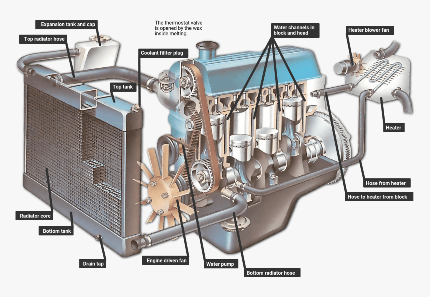 How The Coolant Circulates - Car Cooling System, HD Png Download, Free Download