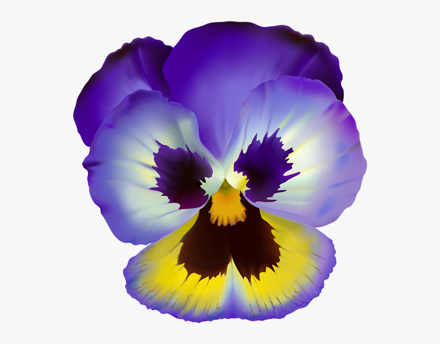 Violet Flower Transparent Clip Art - Violet Flower No Background, HD Png Download, Free Download