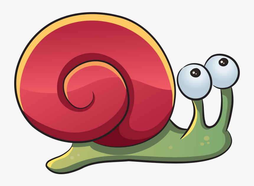 Mollusc Clipart Mango - Sea Animals Snail Drawing, HD Png Download, Free Download