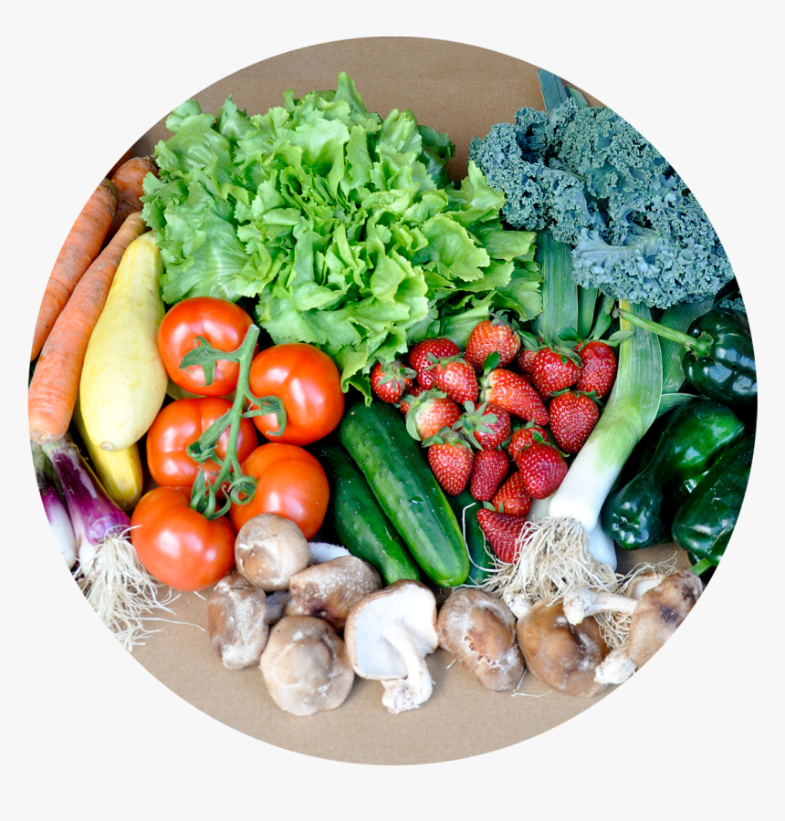Fruits And Vegetables Basket Png - Basket Of Fruits And Vegetables, Transparent Png, Free Download