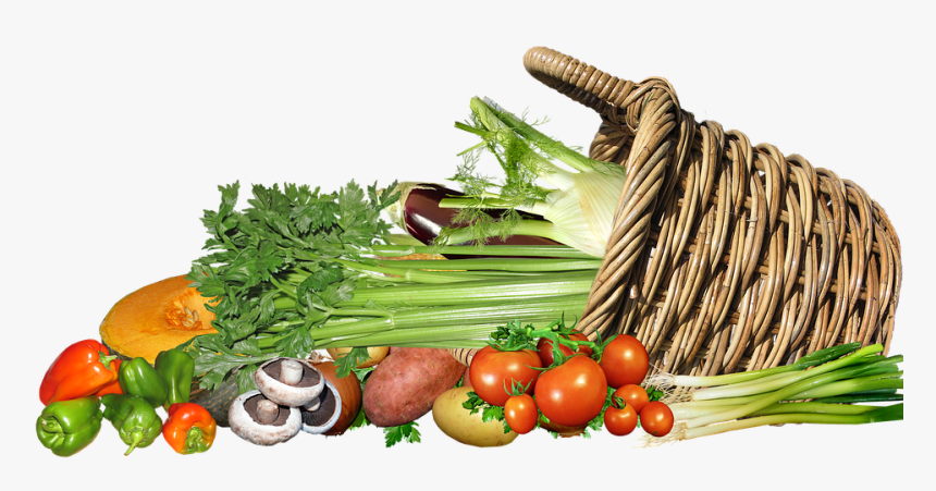 Vegetables, Basket, Food, Cooking, Vegetarian, Healthy - Vegetables Png, Transparent Png, Free Download
