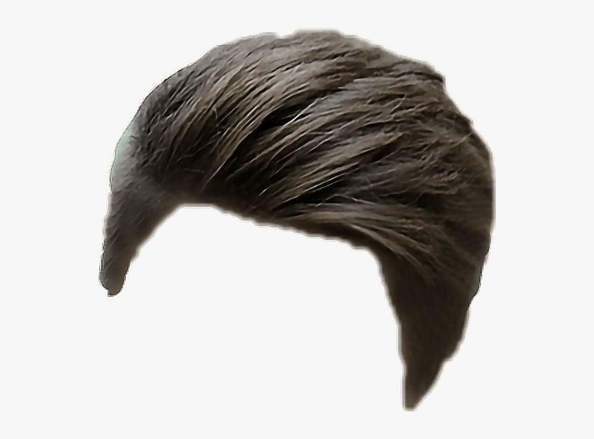 Men Hairstyle Png, Transparent Png - kindpng