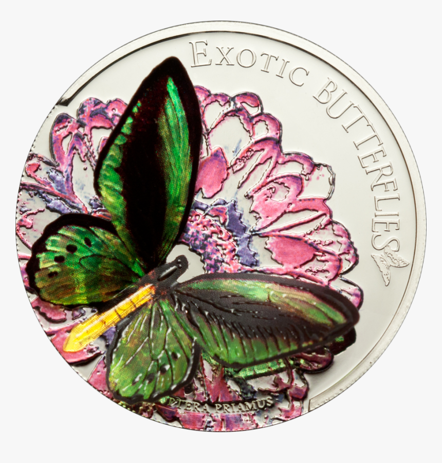 Exotic Butterflies Tokelau, Hd Png Download - トリバネアゲハ の 切手 コイン, Transparent Png, Free Download
