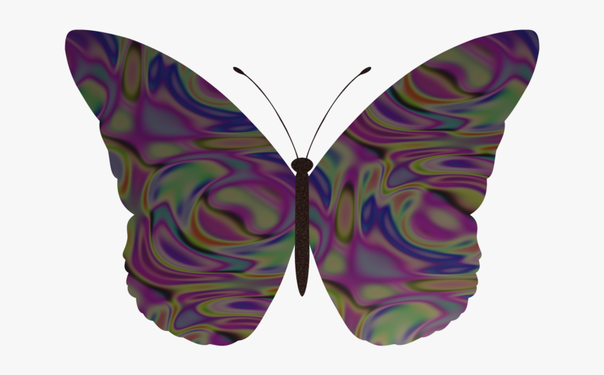 Schmetterling V1 - Butterfly, HD Png Download, Free Download