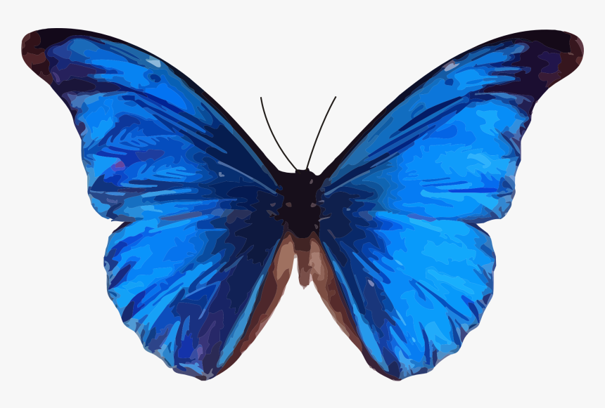 032 Plane Background Blue Butterfly In 3d - Blue Butterfly Clipart, HD Png Download, Free Download