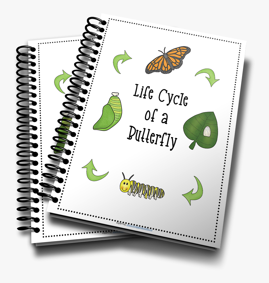 3d Life Cycle Of Butterfly, HD Png Download, Free Download