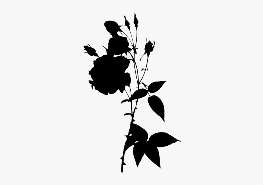 Rose Flowers Png Transparent Images - Garden Roses, Png Download, Free Download