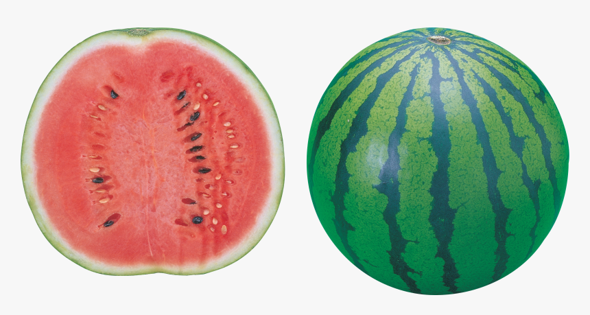 Watermelon Png No Background, Transparent Png, Free Download