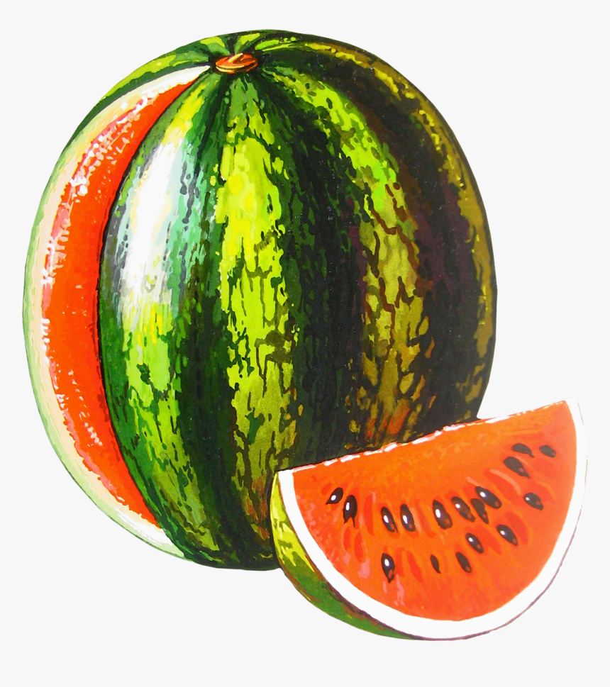Watermelon Png Free Download - Watermelon Melon Transparent Background, Png Download, Free Download