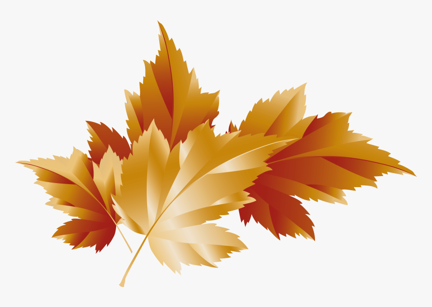 Autumn Leaves Transparent Background, HD Png Download, Free Download