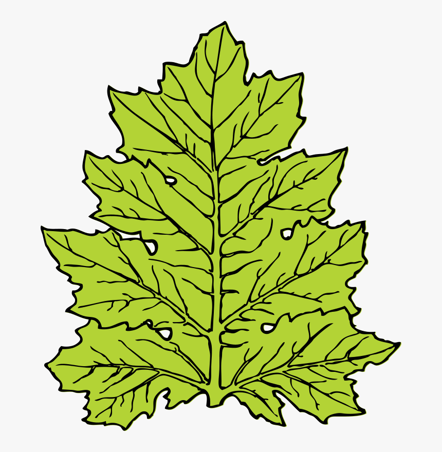 Acanthus Leaf - Leaf Clip Art, HD Png Download, Free Download