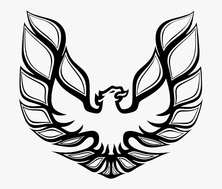 15 Firebird Drawing Wing For Free Download On Mbtskoudsalg - Trans Am Bird, HD Png Download, Free Download