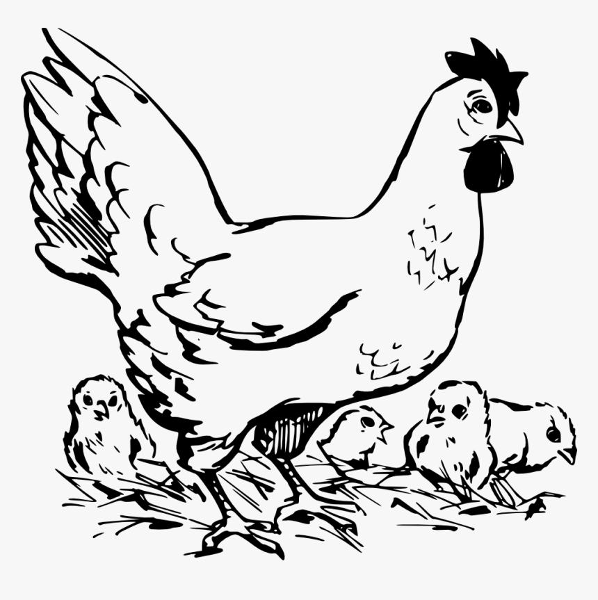 Hen Chicken Image Hd Image Clipart - Hen With Chicken Black And White, HD Png Download, Free Download