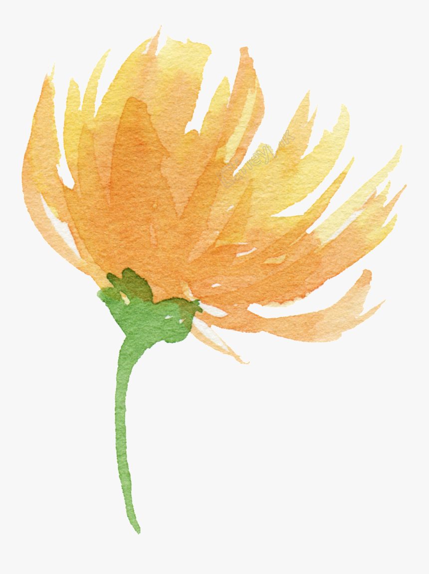 Transparent Fire Flower Png - Yellow Watercolor Flowers Png, Png Download, Free Download