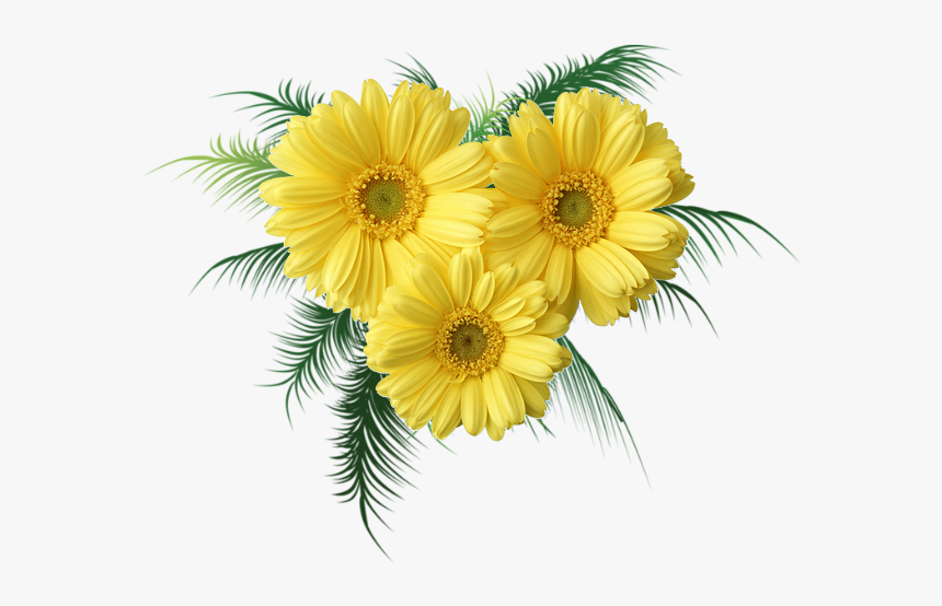 Yellow Daisy Border Clip Art, HD Png Download, Free Download