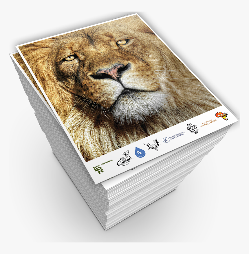 Masai Lion, HD Png Download, Free Download