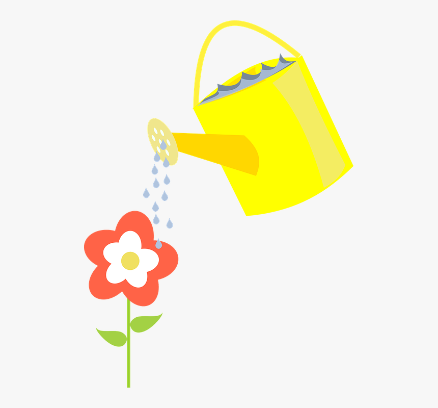 Ewer, Watering, Flower, Watering Can, Pot, Water - Single Flower Being Watered, HD Png Download, Free Download