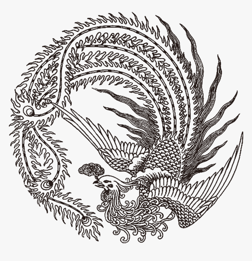 Graphic Black And White Download Fenghuang Phoenix - Chinese Phoenix Tattoo, HD Png Download, Free Download