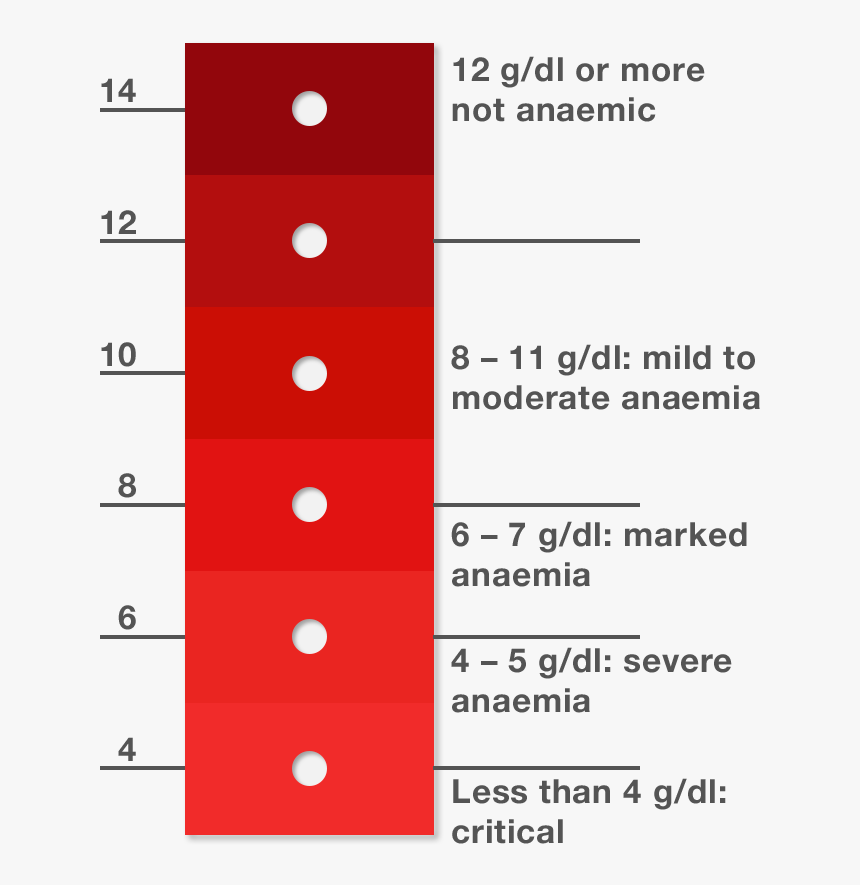 Scale With Levels - Anemic Blood Color, HD Png Download, Free Download