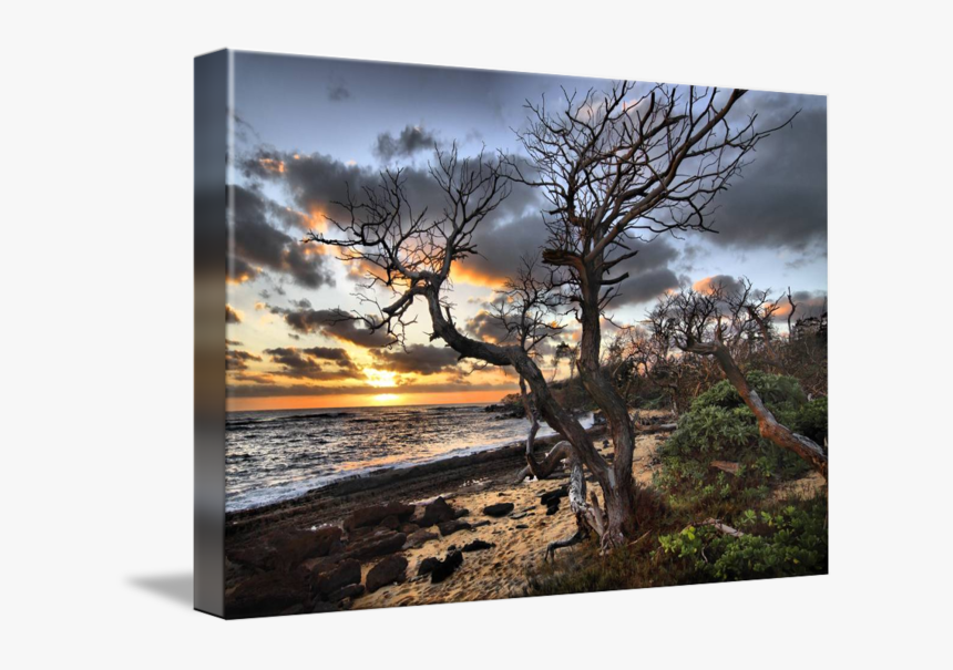 Clip Art Kauai Sunrise - Sunset, HD Png Download, Free Download