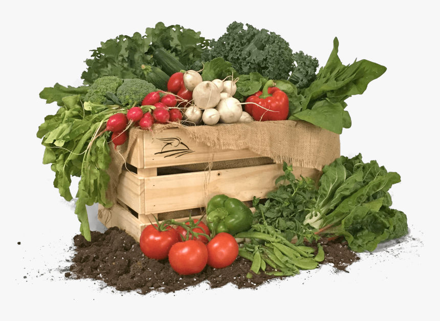 Panier De Légumes Png, Transparent Png, Free Download