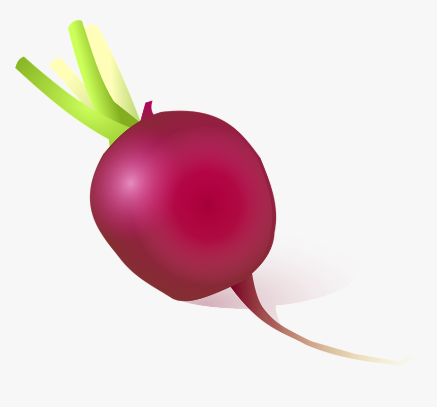 Radish Png Hd - Png Image Png Vegetable Cartoon, Transparent Png, Free Download