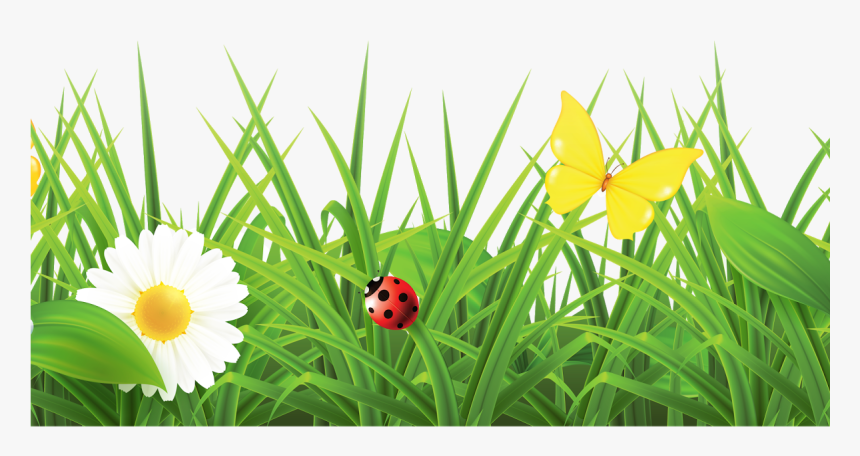 Grass With Flowers Png Hd , Png Download - Flowers Hd Images Png, Transparent Png, Free Download