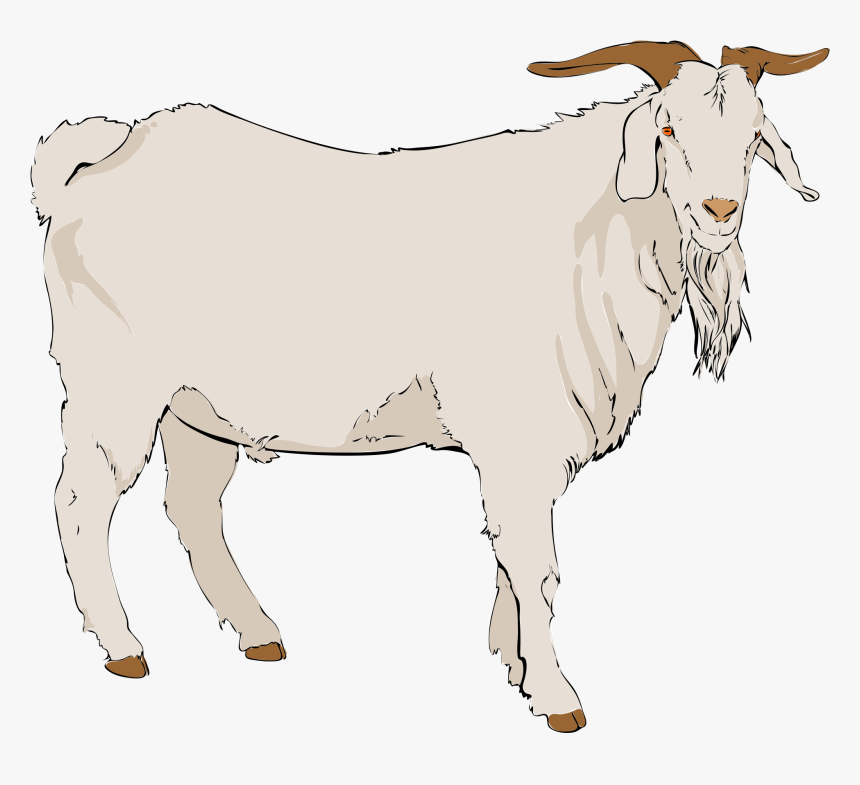 Goat Clipart - He Goat Clipart, HD Png Download, Free Download